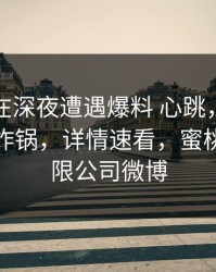 主持人在深夜遭遇爆料 心跳，蜜桃传媒全网炸锅，详情速看，蜜桃传媒有限公司微博