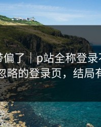 别再被带偏了｜p站全称登录不上：最容易被忽略的登录页，结局有点反转