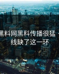 凌晨 · 黑料网黑料传播很猛 · 但时间线缺了这一环