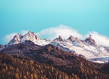 昨天爆了：蘑菇影像断联之后，真相曝光终于来了（发生在夜市）