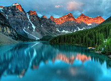 我朋友点进“黑料社区”后发生了什么？一句话总结：别赌运气。你可以好奇，但别冲动。