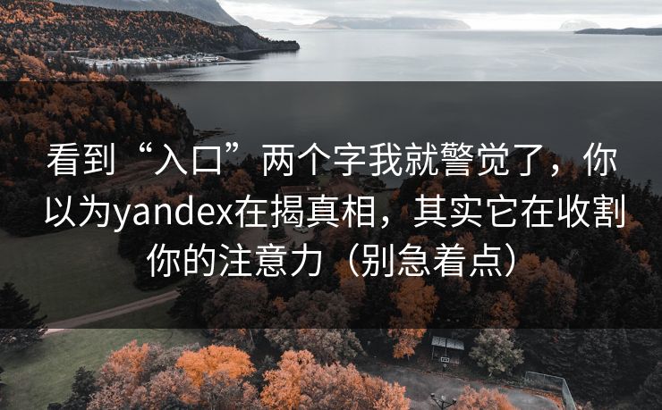 看到“入口”两个字我就警觉了，你以为yandex在揭真相，其实它在收割你的注意力（别急着点）