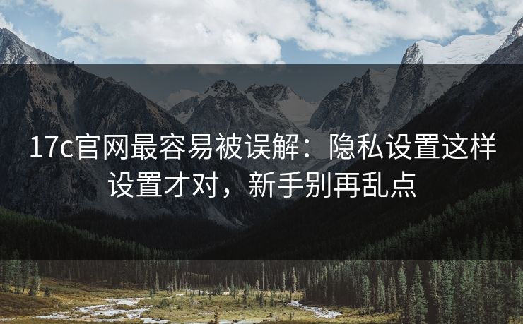 17c官网最容易被误解：隐私设置这样设置才对，新手别再乱点
