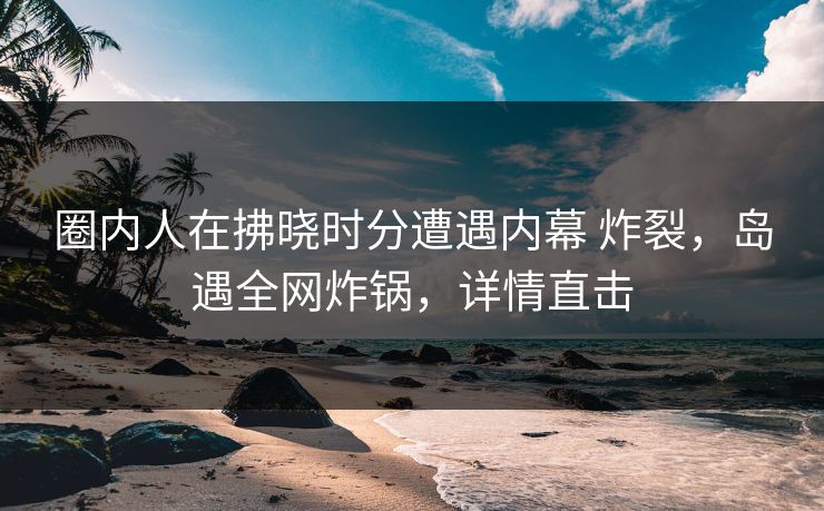 圈内人在拂晓时分遭遇内幕 炸裂，岛遇全网炸锅，详情直击
